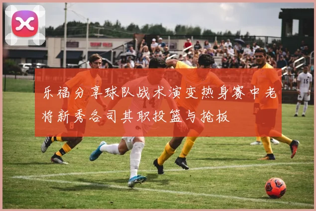 乐福分享球队战术演变热身赛中老将新秀各司其职投篮与抢板